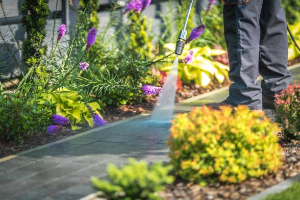 Best Sidewalk and Walkway Cleaning  in Euless, TX